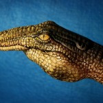 hand_painting_06