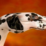 hand_painting_07