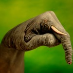 hand_painting_09