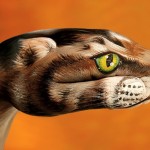 hand_painting_12