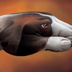 hand_painting_16